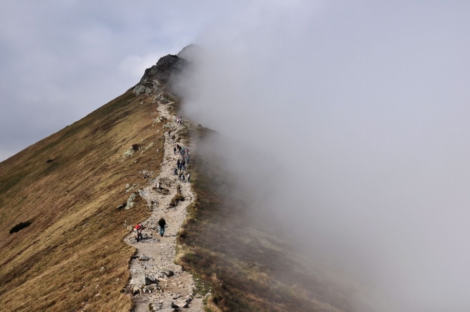 Silny i porywisty wiat halny utrudnia poruszanie się, a na szlaki mogą spadać gałęzie i drzewa /Shutterstock