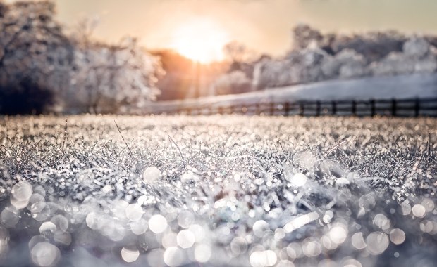 Silny mróz uderza w Europę! Temperatura spadnie nawet do -18 st. Celsjusza
