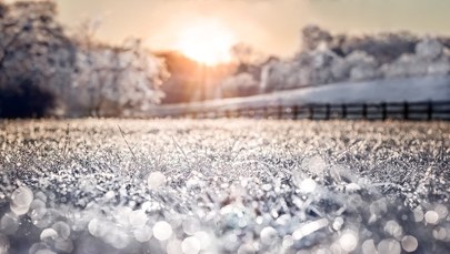 Silny mróz uderza w Europę! Temperatura spadnie nawet do -18 st. Celsjusza