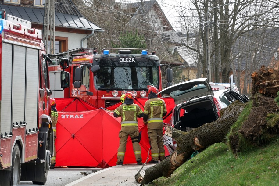 Silny podmuch wiatru na zakopiańskiej Olczy powalił drzewo na samochód, którym jechała młoda kobieta. Poszkodowanej nie udało się uratować /Grzegorz Momot /PAP