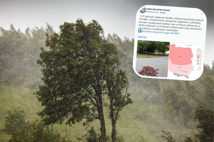 Silny wiatr i polarne powietrze nad Polską. Pogoda niekorzystnie wpłynie na nastrój i sprawność psychofizyczną