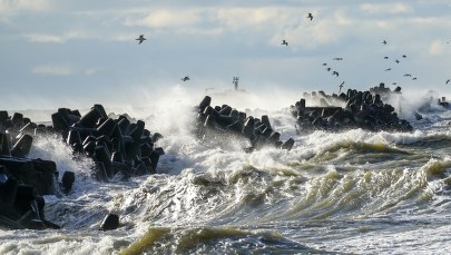 Silny wiatr i śnieg. Sprawdź prognozę pogody na czwartek 