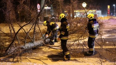 Silny wiatr na południu: Huragan łamał drzewa w Zakopanem, halny szaleje w Beskidach