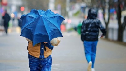 Silny wiatr na południu. IMGW wydaje alerty