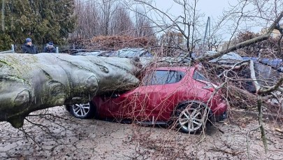 Silny wiatr na Pomorzu. Alert IMGW