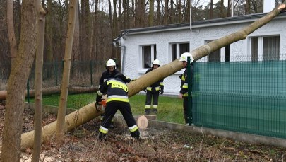Silny wiatr na zachodzie Polski. IMGW ostrzega