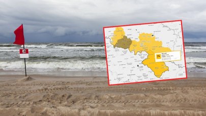 Silny wiatr nad Polską. Ostrzeżenia IMGW dla 13 województw