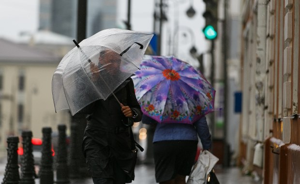 Silny wiatr w Polsce. Alerty pierwszego i drugiego stopnia