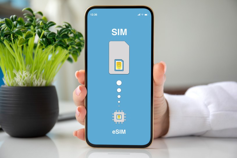 SIM czy eSIM - jaka karta do smartfonu jest lepsza? /123RF/PICSEL