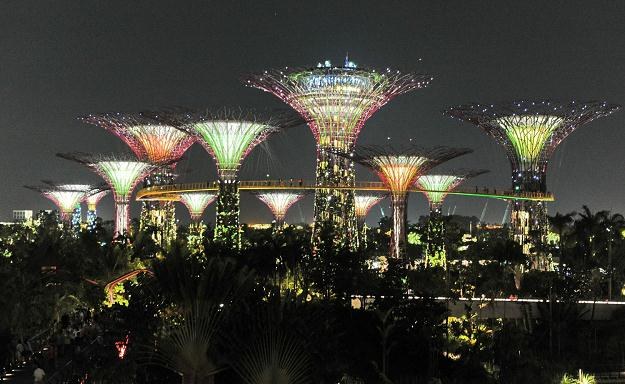 Singapur kusi naszych rodaków /AFP