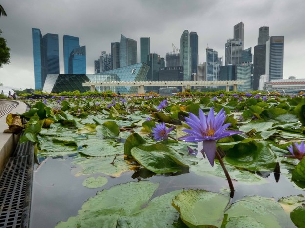 Singapur /DPA/Hinrich Bäsemann   /PAP