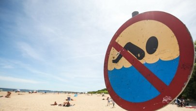 Sinice atakują kąpieliska. Sprawdź, gdzie nie można się kąpać