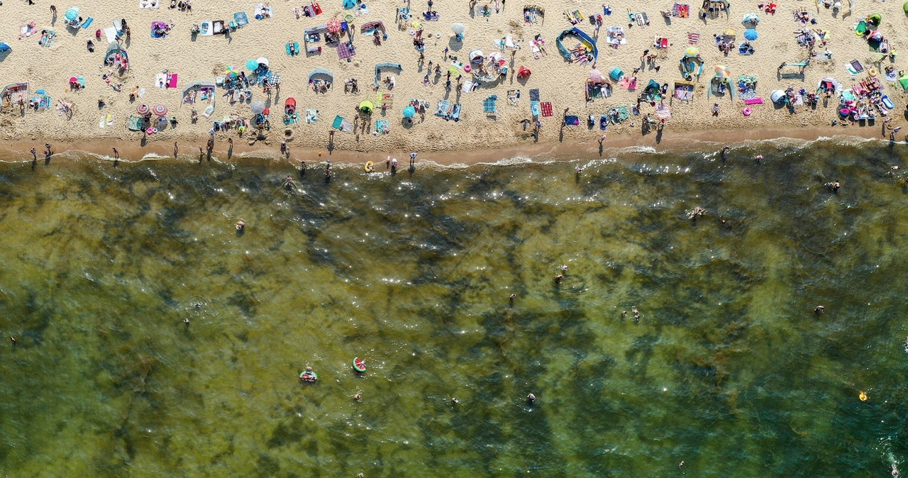 Sinice co roku uprzykrzają życie turystom. Jak będzie w tym sezonie? /Agencja FORUM