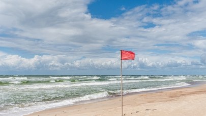 Sinice i bakterie E. coli. Czerwone flagi na kąpieliskach