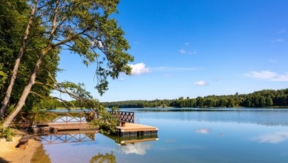 Sinice na Kaszubach. Dwa kąpieliska zamknięte