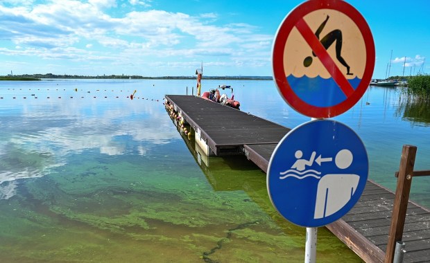 Sinice na Kaszubach. Zakwitły w jednym z jezior