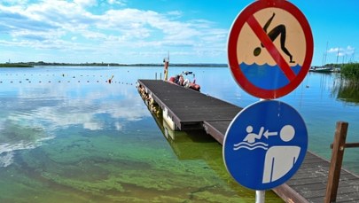 Sinice na Kaszubach. Zakwitły w jednym z jezior