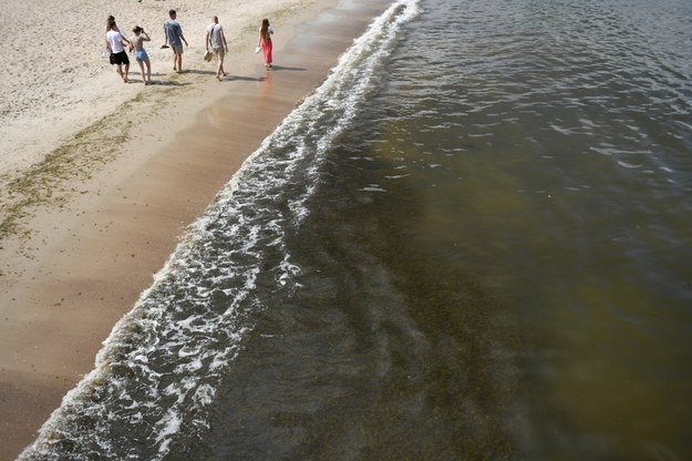 Sinice na plaży w Sopocie / 	Adam Warżawa    /PAP