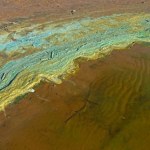 plaże i kąpieliska Sinice na Pomorzu. Z których kąpielisk nie korzystać?