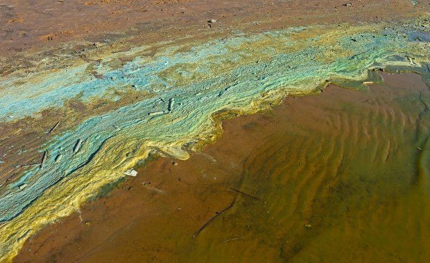 Sinice na Pomorzu. Z których kąpielisk nie korzystać?