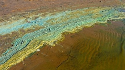 Sinice na Pomorzu. Z których kąpielisk nie korzystać?