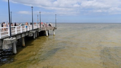 Sinice nad Bałtykiem nie odpuszczają. Czerwone flagi wciąż na wielu plażach