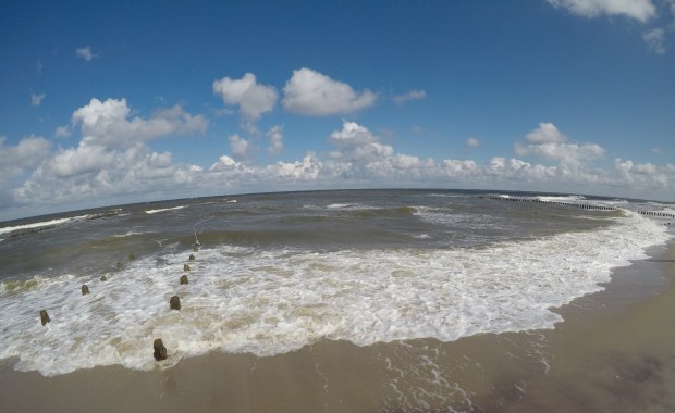 Sinice w Bałtyku. Sprawdź, gdzie lepiej się nie kąpać