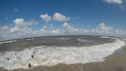 Sinice w Bałtyku. Sprawdź, gdzie lepiej się nie kąpać