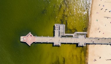 Sinice w Bałtyku zakwitły rekordowo wcześnie. Jakie są objawy zatrucia?