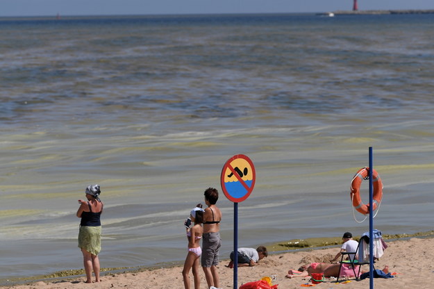 Sinice w Bałtyku. Gdzie obowiązuje zakaz kąpieli?