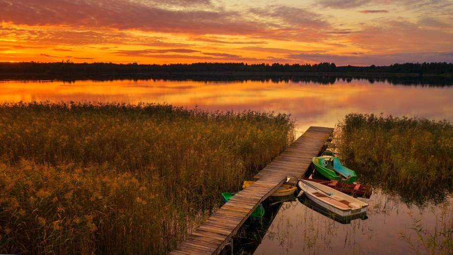 Sinice w jeziorze Białe. Wprowadzono zakaz kąpieli /Shutterstock