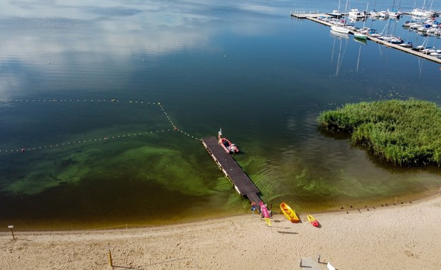 Sinice w jeziorze Dąbie. Obowiązuje zakaz kąpieli