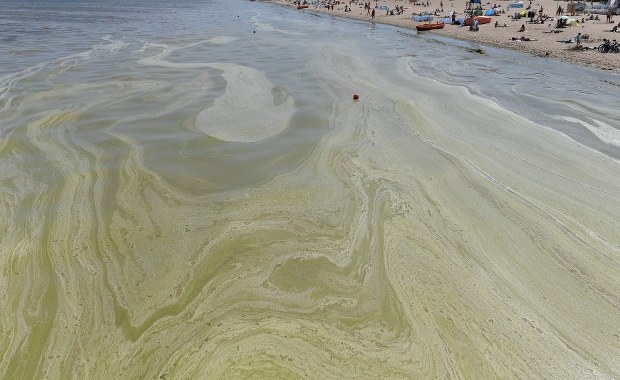 Sinice w odwrocie. Problem tylko na jednym kąpielisku