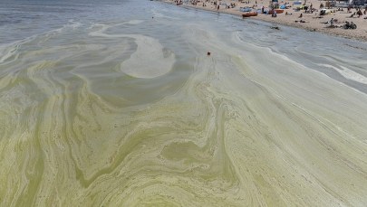 Sinice w odwrocie. Problem tylko na jednym kąpielisku