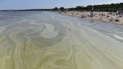 Sinice w odwrocie. W Zachodniopomorskiem już tylko jedno miejsce z czerwoną flagą!