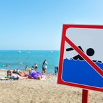 Sinice w Zalewie Szczecińskim. Zamknięte plaże