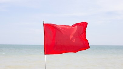 ​Sinice zakwitły w Zachodniopomorskiem. Zakaz wchodzenia do wody!