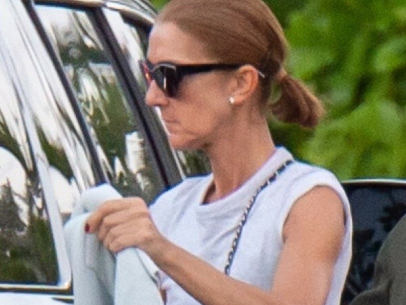 Siostra Celine Dion przerywa milczenie. Wyjawiła prawdę na temat stanu zdrowia gwiazdy /AM / SplashNews.com/East News /East News