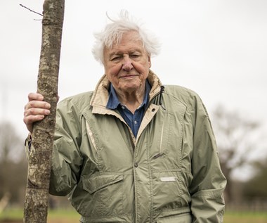 Sir David Attenborough kończy 97 lat. Wciąż podróżuje i kręci filmy