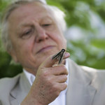 Sir David Attenborough: Orędownik natury