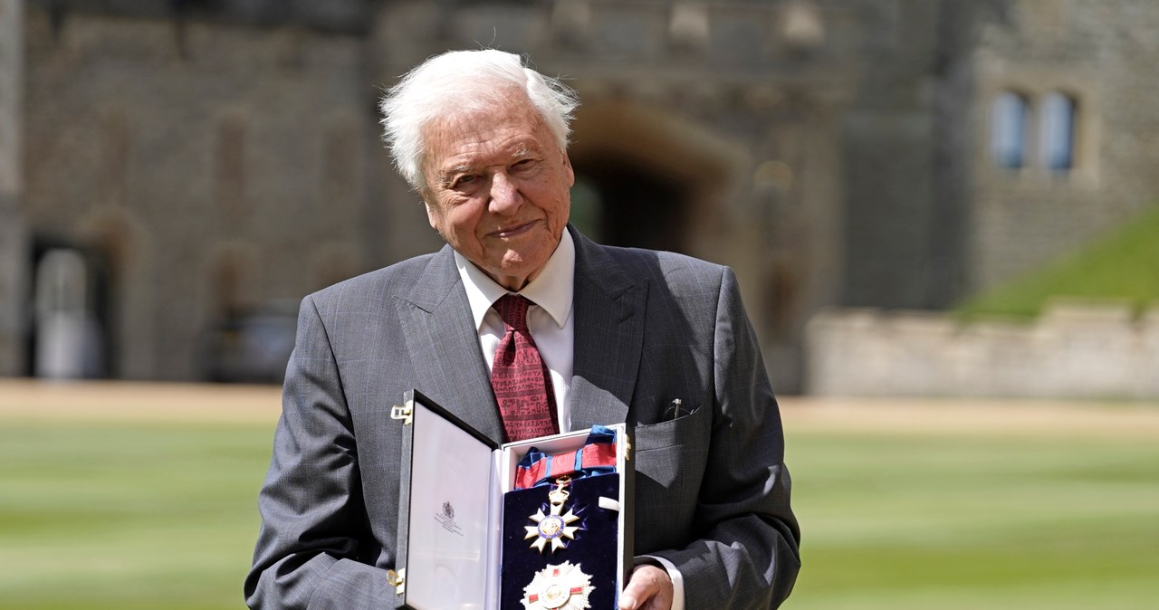 Sir David Attenborough /Andrew Matthews /Getty Images