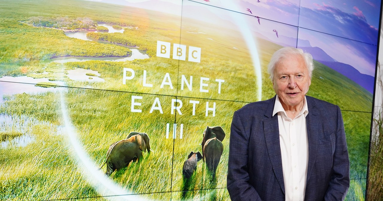 Sir David Attenborough /materiały prasowe