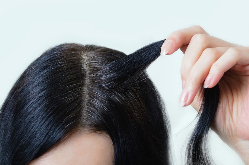 Siwienie włosów zależy przede wszystkim od cech genetycznych oraz czynności hormonów /123RF/PICSEL