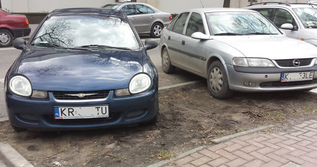 Skąd kierowca ma wiedzieć, że parkuje nie na  byłym trawniku? /poboczem.pl