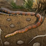 prehistoria Skąd na świecie wzięły się węże? Te najstarsze schodziły pod ziemię