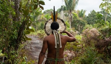 Skąd wzięli się rdzenni Amerykanie? Odkryli w DNA ślady nieznanej migracji