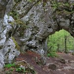 Skalna brama na Szlaku Orlich Gniazd. Gratka dla miłośników przyrody