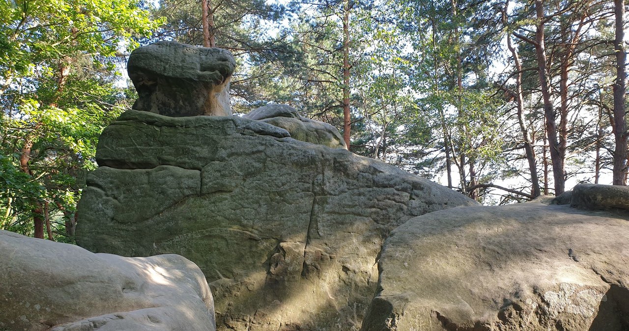 Skalne miasto w Ciężkowicach /Katarzyna Pawlicka /INTERIA.PL