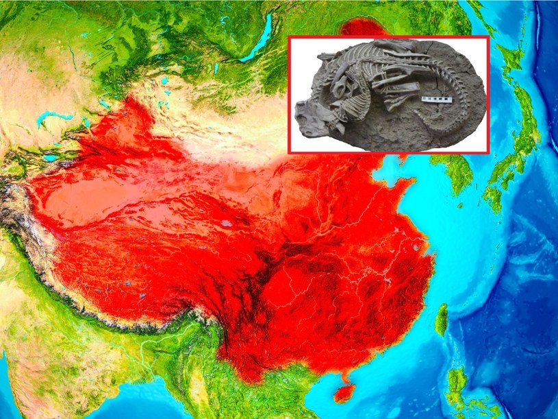 Skamielina stanowi część Jehol Biota, czyli ekosystemu północno-wschodnich Chin /123RF/PICSEL