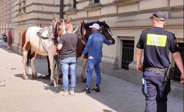 "Skandal na ulicach Krakowa". Konie z dorożką bez woźnicy pędziły przez centrum miasta